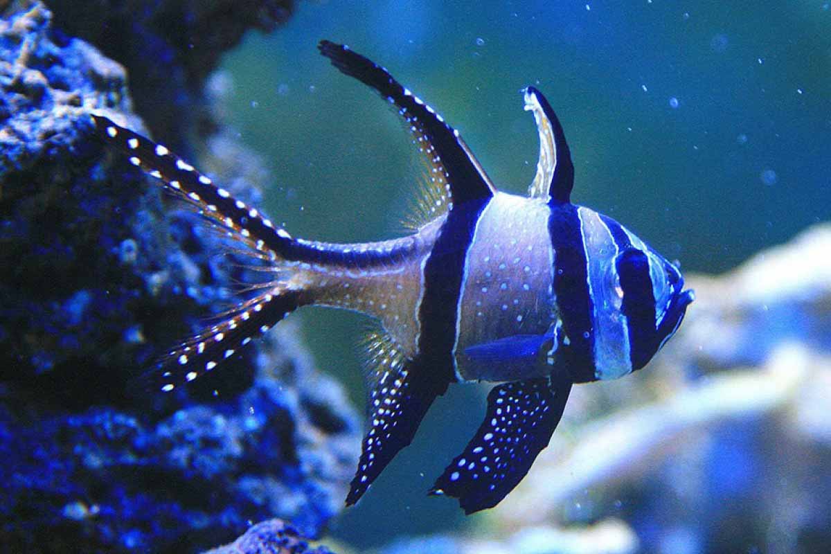 pr-waterworld2-jan21