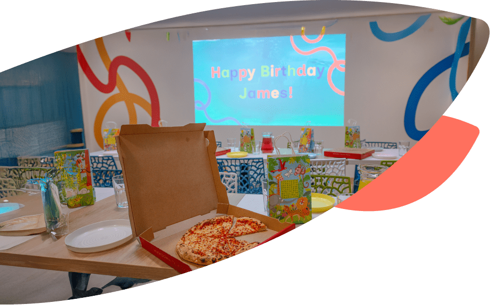 Penguin feeding experience