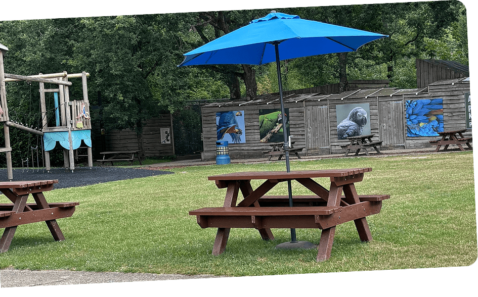 Picnic areas